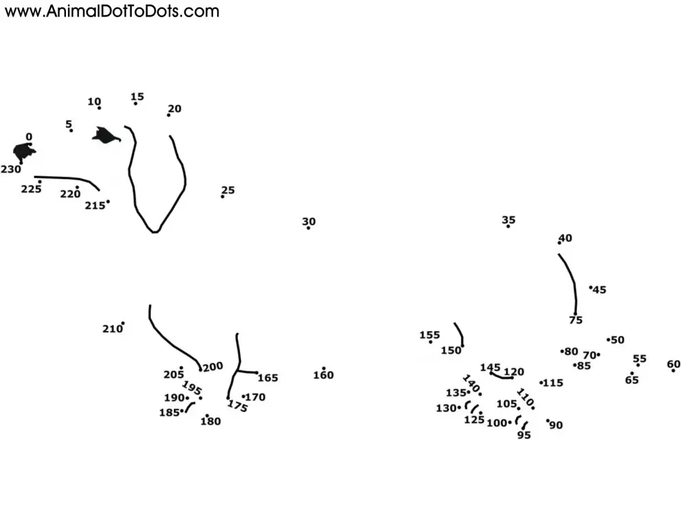 Difficult Free Printable Animal Dot To Dot Worksheets