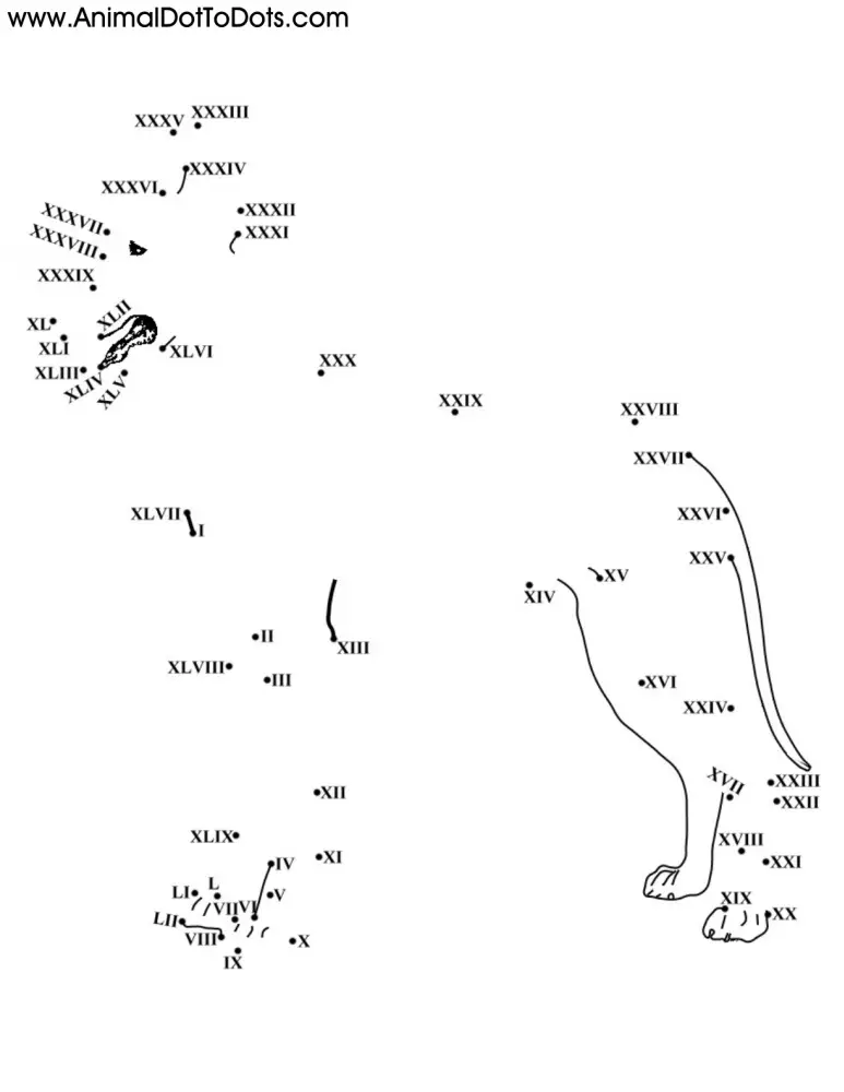 Roman Numerals Free Printable Animal Dot To Dot Worksheets