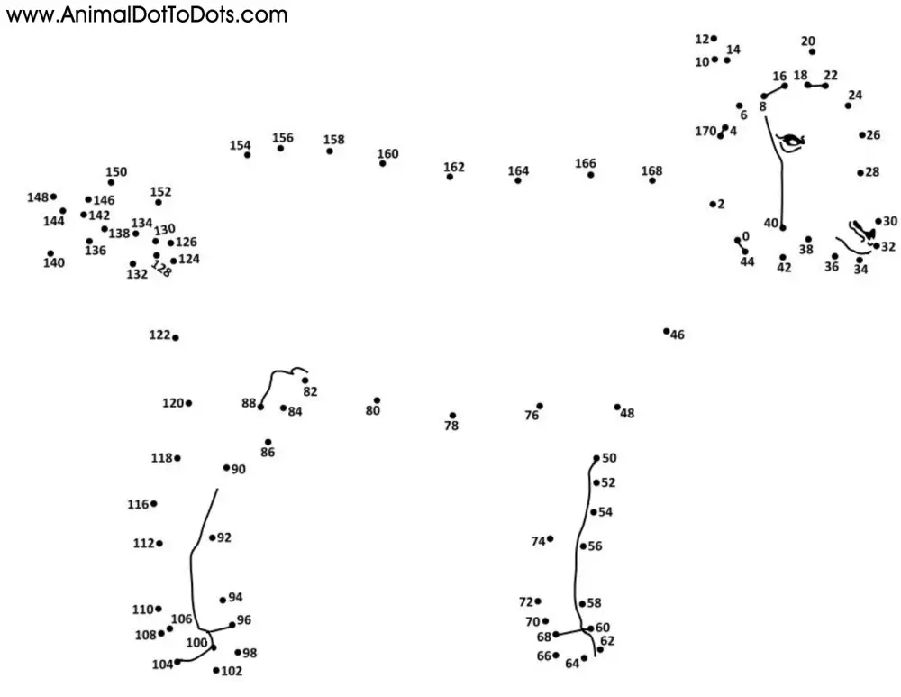 Difficult Free Printable Animal Dot To Dot Worksheets