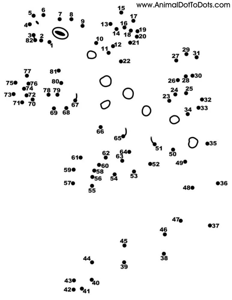 1st Grade Free Printable Animal Dot To Dot Worksheets